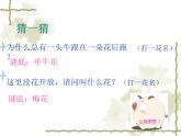 小學(xué)音樂茉莉花(河北民歌)-課件ppt (1)