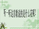 小學(xué)音樂茉莉花(河北民歌)-課件ppt (1)