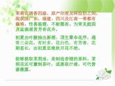 小学音乐茉莉花(东北民歌)-课件ppt (1)