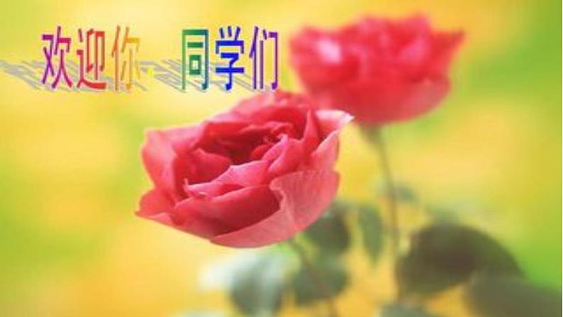 小学音乐课件-六年级下册   7.欣赏-卡门序曲-｜花城版-(共19张PPT)ppt课件第2页