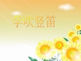 回声PPT课件免费下载