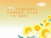 回声PPT课件免费下载