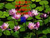 小学音乐《3瑶族舞曲》PPT课件-(4)ppt课件