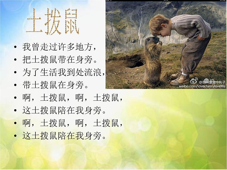 小学音乐《3土拔鼠》PPT课件-(2)ppt课件07