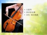 小学音乐《4天鹅》PPT课件-(1)ppt课件