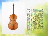 小学音乐《4天鹅》PPT课件-(1)ppt课件