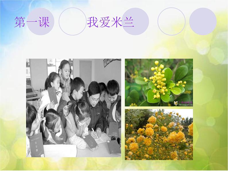 小学音乐《4我爱米兰》PPT课件-(1)ppt课件第2页