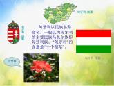 小学音乐《4五月的夜晚》PPT课件-(3)ppt课件