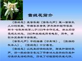 小學(xué)音樂雪絨花-課件-(4)ppt課件