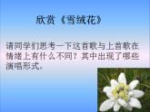 小學(xué)音樂雪絨花-課件-(2)ppt課件