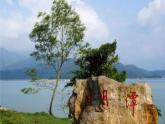 小學(xué)音樂一只鳥仔-課件ppt課件