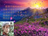 小学音乐映山红-课件-(1)ppt课件