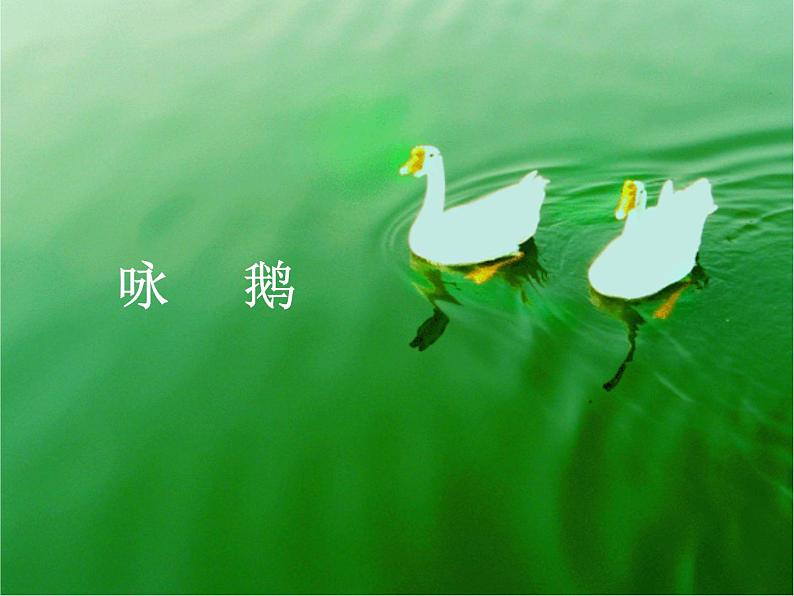 小学音乐咏鹅-课件-(1)ppt课件第3页