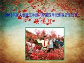 小学音乐映山红-课件-(2)ppt课件