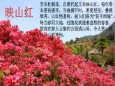 小学音乐映山红-课件-(2)ppt课件