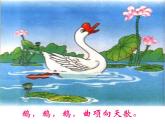 小学音乐咏鹅-课件-(13)ppt课件