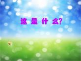小學(xué)音樂這是什么？-課件--(4)ppt課件