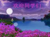 小学音乐月亮月光光-课件-(4)ppt课件