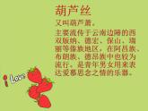 小學(xué)音樂(lè)月光下的鳳尾竹-課件ppt課件