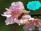 小学音乐捉迷藏-课件-(5)ppt课件