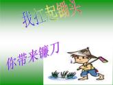 小學音樂種玉米-課件-(1)ppt課件