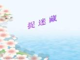 小学音乐捉迷藏-课件-(9)ppt课件