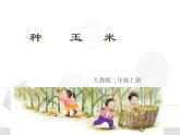 小學音樂種玉米-課件-(5)ppt課件