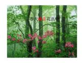 小学音乐捉迷藏-课件-(6)ppt课件