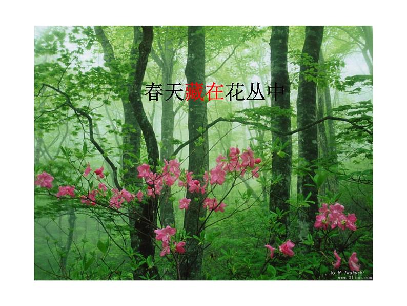 小学音乐捉迷藏-课件-(6)ppt课件05