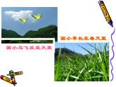 小學音樂祖國祖國我們愛你-課件-(6)ppt課件