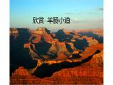 人教版六年級(jí)下冊(cè)   第三單元  欣賞  羊腸小道課件PPT