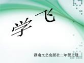 小学音乐(歌表演)学飞-课件ppt