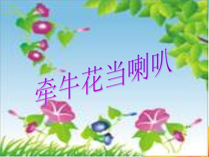 小学音乐(歌表演)牵牛花当喇叭-课件-(1)ppt第3页