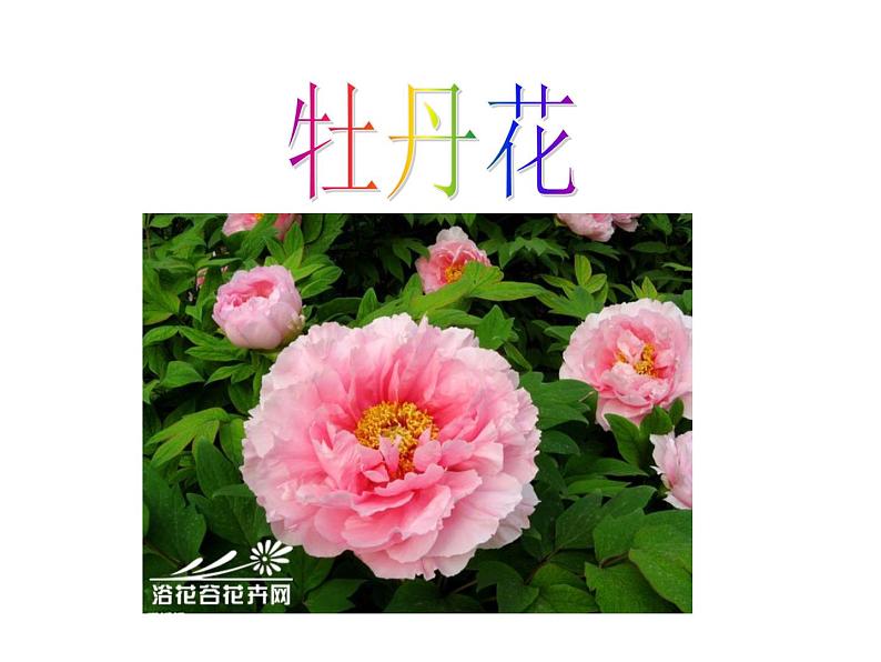 小学音乐(演唱)编花篮-课件-(6)ppt第7页