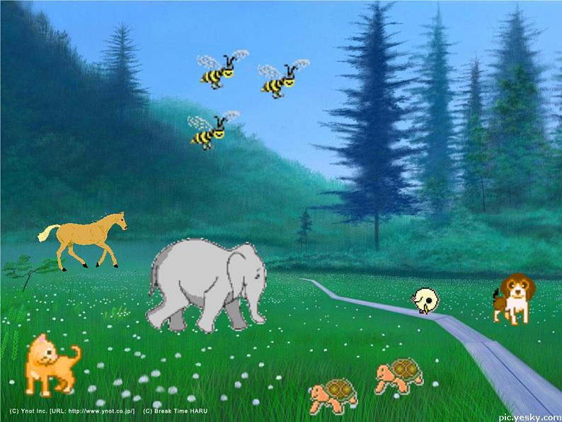 小学音乐(听赏)小鸟-狮王-课件ppt04