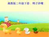 小学音乐(听赏)鸭子拌嘴-课件ppt