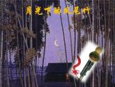 小學(xué)音樂(lè)(聽(tīng)賞)月光下的鳳尾竹-課件-(2)ppt