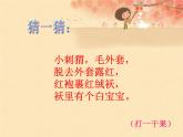 小学音乐(演唱)栗子大丰收-课件-(1)ppt