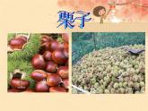 小学音乐(演唱)栗子大丰收-课件-(1)ppt