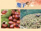 小学音乐(演唱)栗子大丰收-课件-(2)ppt