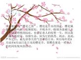 小学音乐1.《樱花》片段-课件-(1)ppt