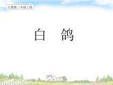 小学音乐白鸽-课件-(8)ppt