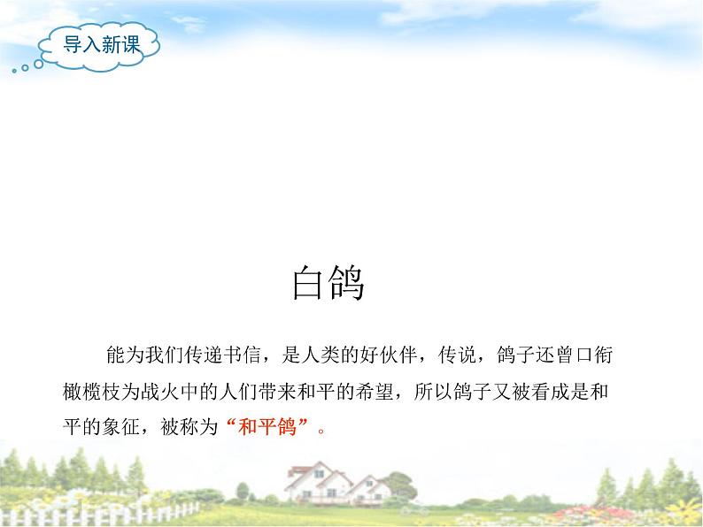 小学音乐白鸽-课件-(8)ppt06