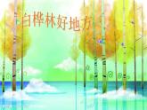 小學音樂白樺林好地方-課件-(4)ppt