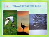 小学音乐爱的奉献-课件-(1)ppt