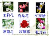 人音小學(xué)音樂(lè)二上《5打花巴掌》PPT課件 (1)