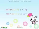 人音小學(xué)音樂二上《4我的小雞》PPT課件 (2)