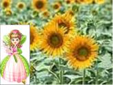 人音小學(xué)音樂(lè)二上《5打花巴掌》PPT課件 (2)