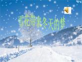 人音版小学五年级上册 《7雪花带来冬天的梦》PPT课件 (3)