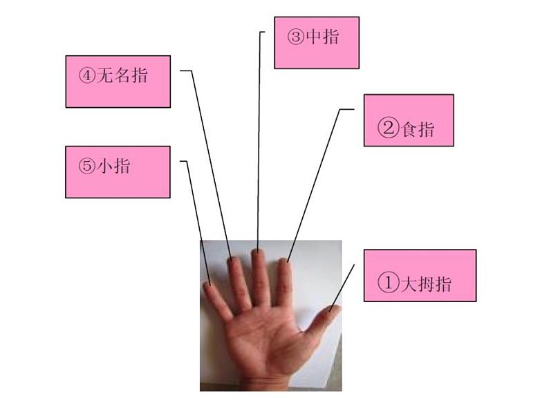 人教版音乐三年级下册 第二单元 音乐实践 课件PPT+教案05